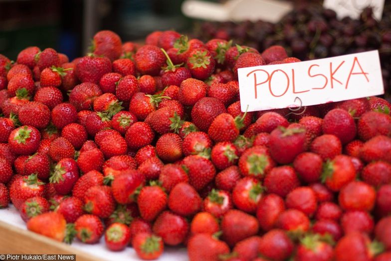 Polskie truskawki są bezpieczne, zdrowe i aromatyczne. Badania rozwiewają wszelkie wątpliwości