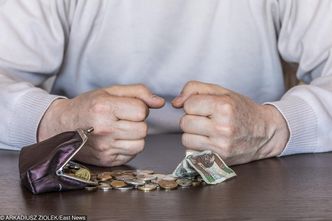 Pieniądze zgromadzone w Pracowniczych Planach Kapitałowych będą prywatną własnością. Z jednym wyjątkiem