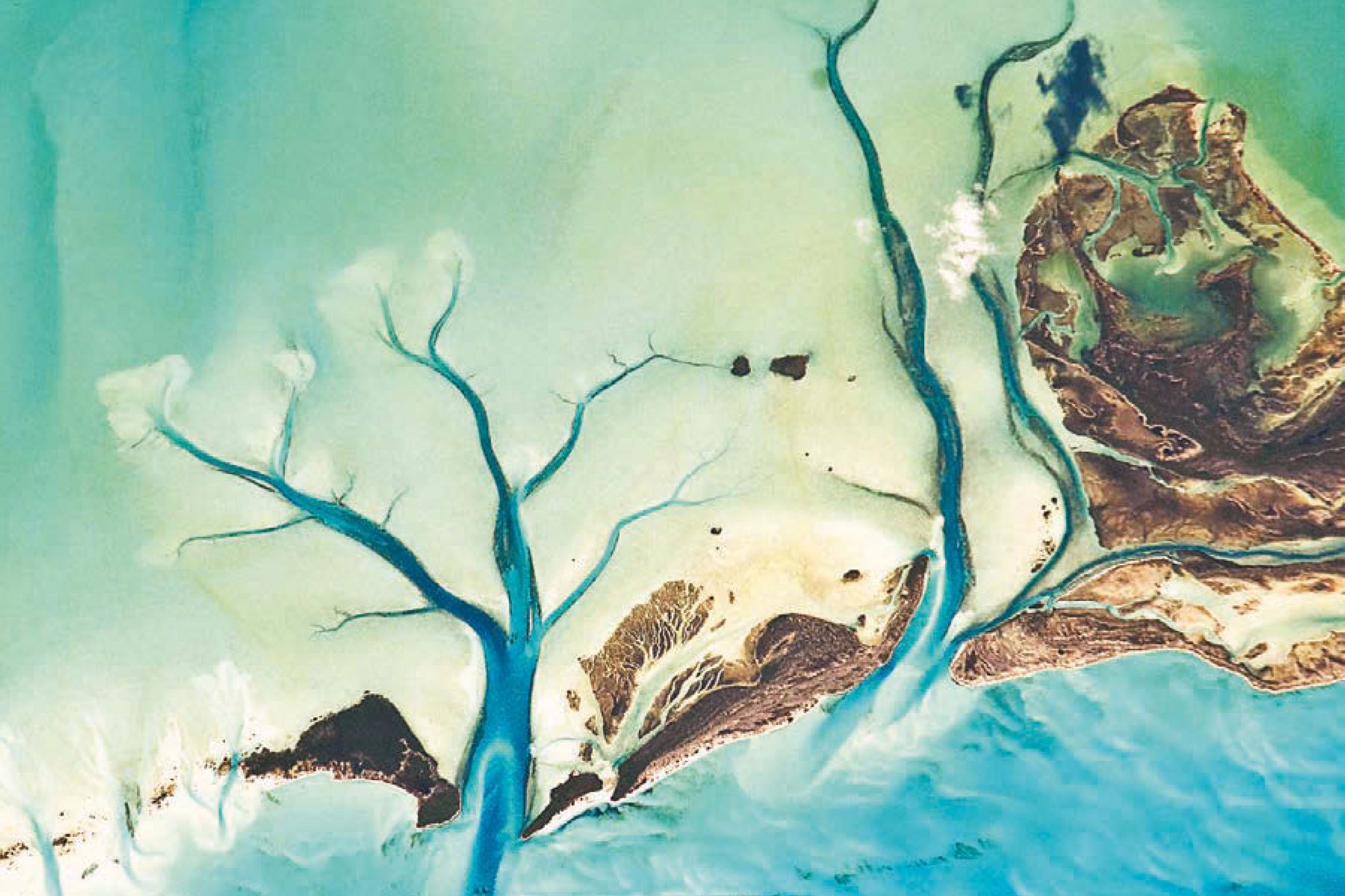 NASA udostępnia za darmo inspirujący album "Earth" 1
