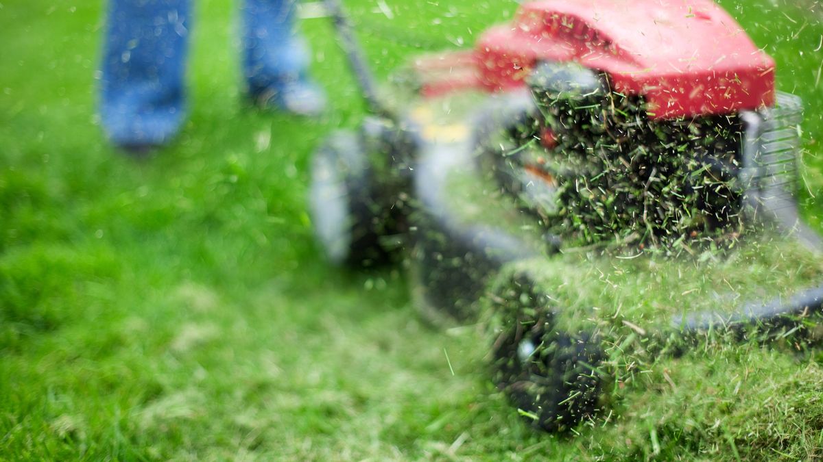 45-latek postrzelił sąsiada koszącego trawę