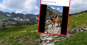 Pokazali wideo z Tatr. "Halo, nie można się kąpać w tatrzańskich jeziorach! Gdzie jest Straż Parku?"
