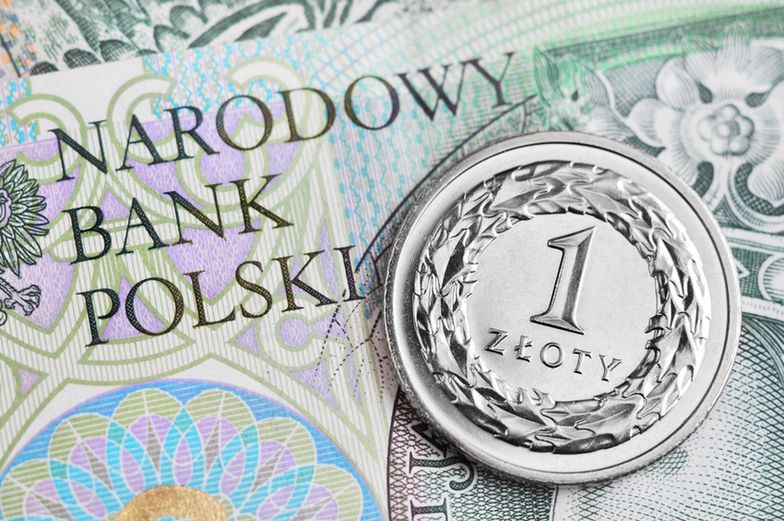 Złotówka na każdą akcję. Eurocash dzieli zyski