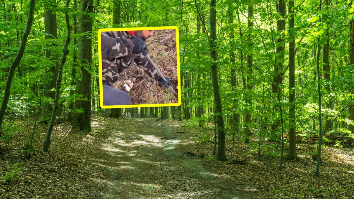 Nagranie z Hiszpanii. Polacy komentują.