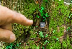 Geocaching. Świetny sposób na odkrywanie nowych miejsc!