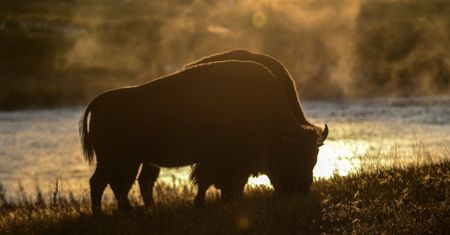 Seria incydentów w Parku Narodowym. Pracownicy apelują o rozwagę