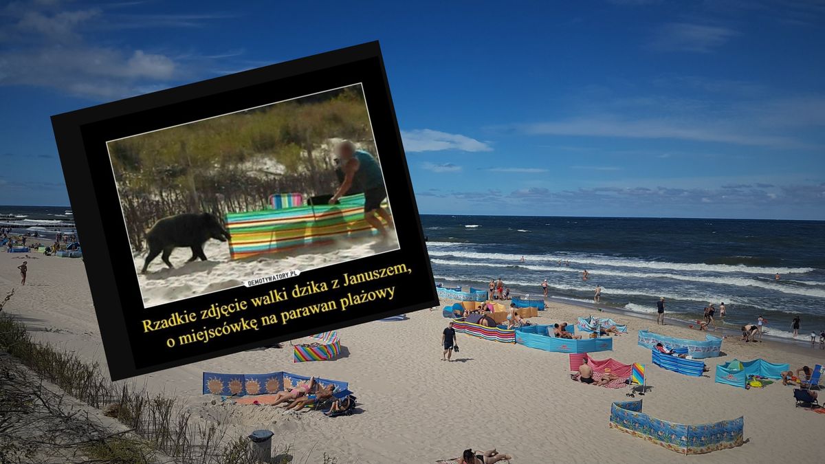 Polacy pękają ze śmiechu. Oto najlepsze memy o parawanach