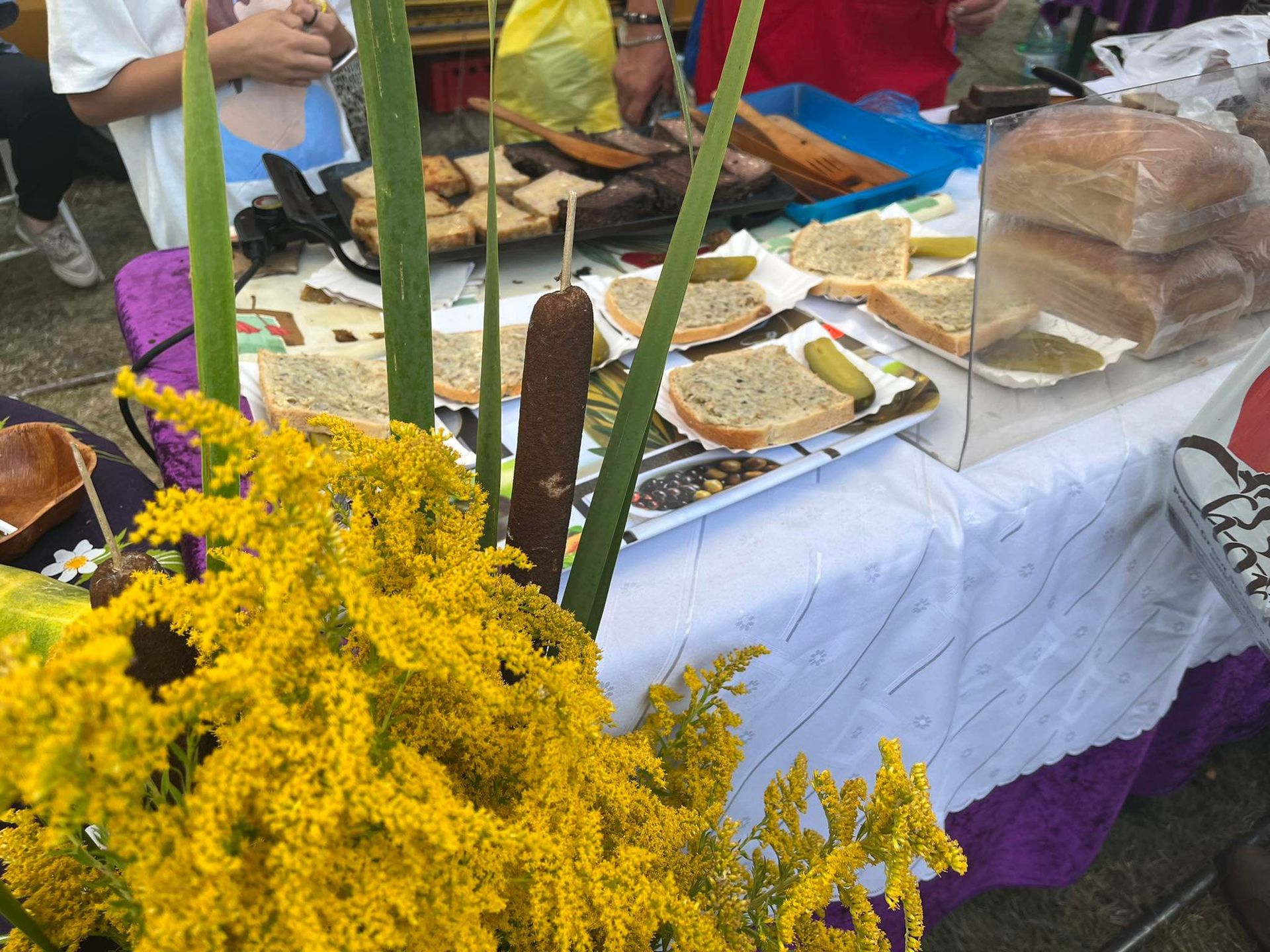 23. Dzień Ogórka w Kruszewie