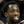 Patrick Beverley