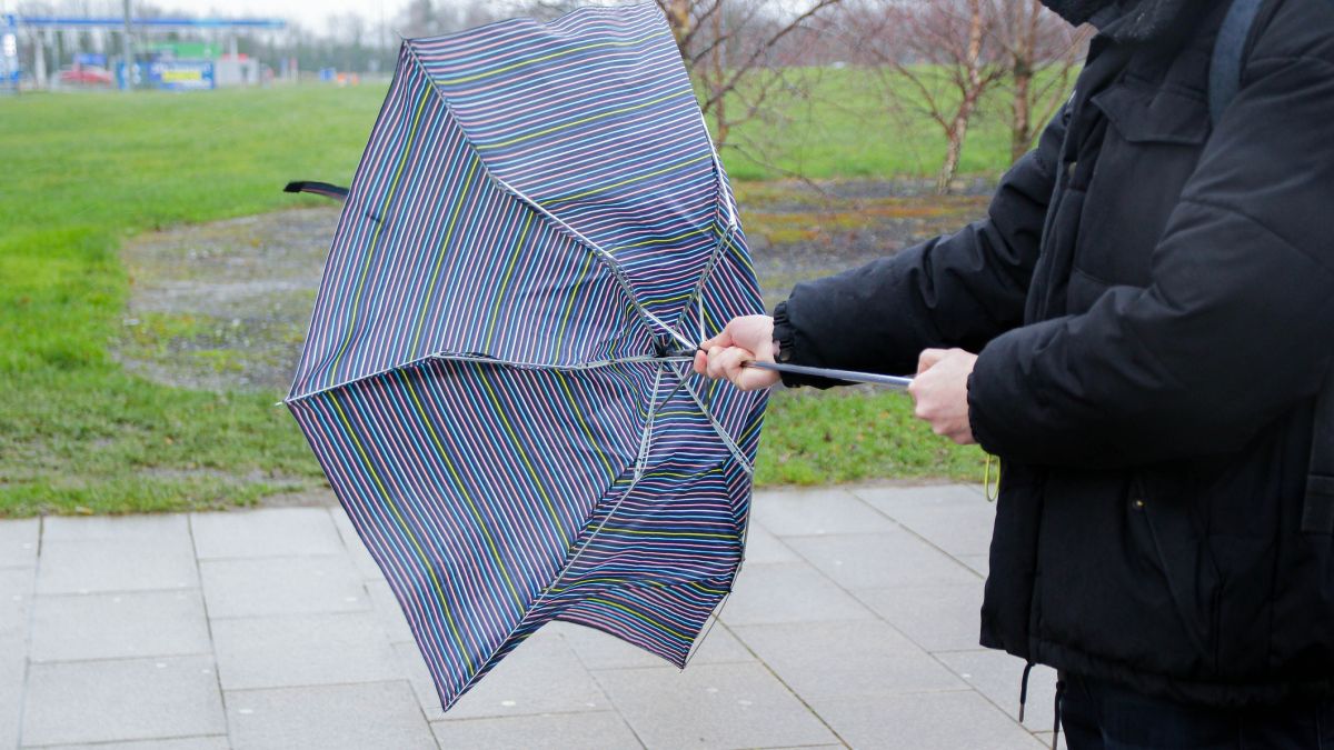 IMGW ostrzega przed silnym wiatrem i gęstą mgłą