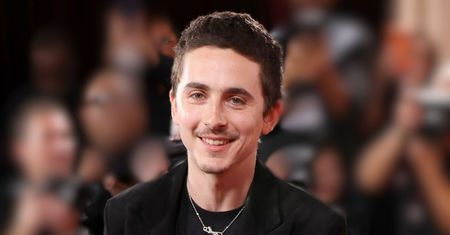 Timothée Chalamet w ekranizacji bestsellera. Czy tym razem będzie Oscar?