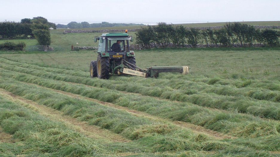 sianokosy/ ilustracja