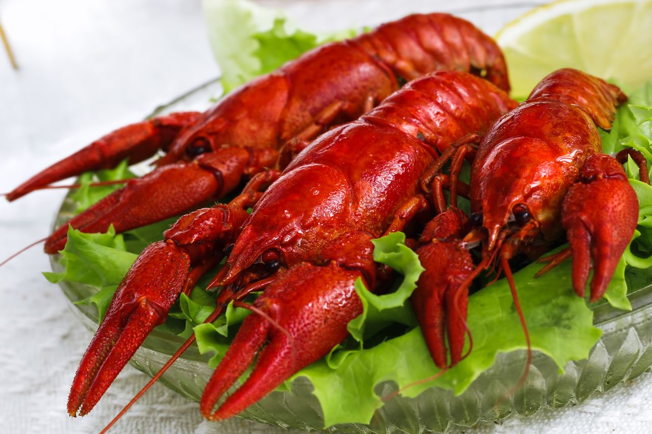 Sąd podtrzymał kolejną karę nałożoną na pobieraczka przez UOKiK