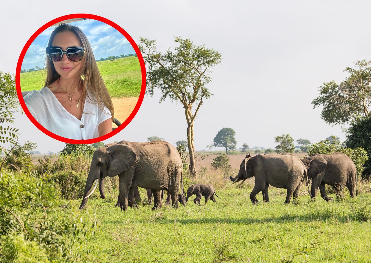 Byłam na safari w Tanzanii. Wszyscy czekali na jedno