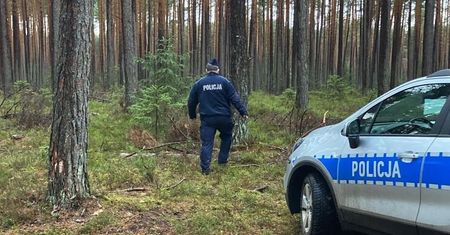 Kradzież w gminie Bałtów