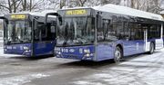Legnica: Paraliż komunikacyjny - lodowisko na drogach