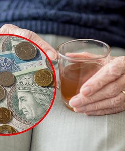 Świadczenie wspierające. Ile wyniesie w 2026 roku?