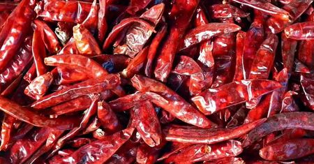Naukowcy zidentyfikowali substancje w papryczkach chili tłumiące ich ostrość
