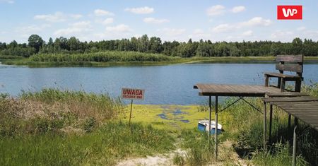 Gdzie się podziała woda z jeziora. Pojezierze Gnieźnieńskie wysycha