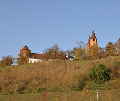 Wybory prezydenckie 2025. Znamy wyniki z Płocka, Radomia i Siedlec