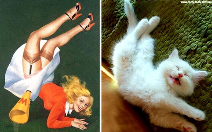 Koty, które pozują jak dziewczyny pin-up z dawnych amerykańskich plakatów 10
