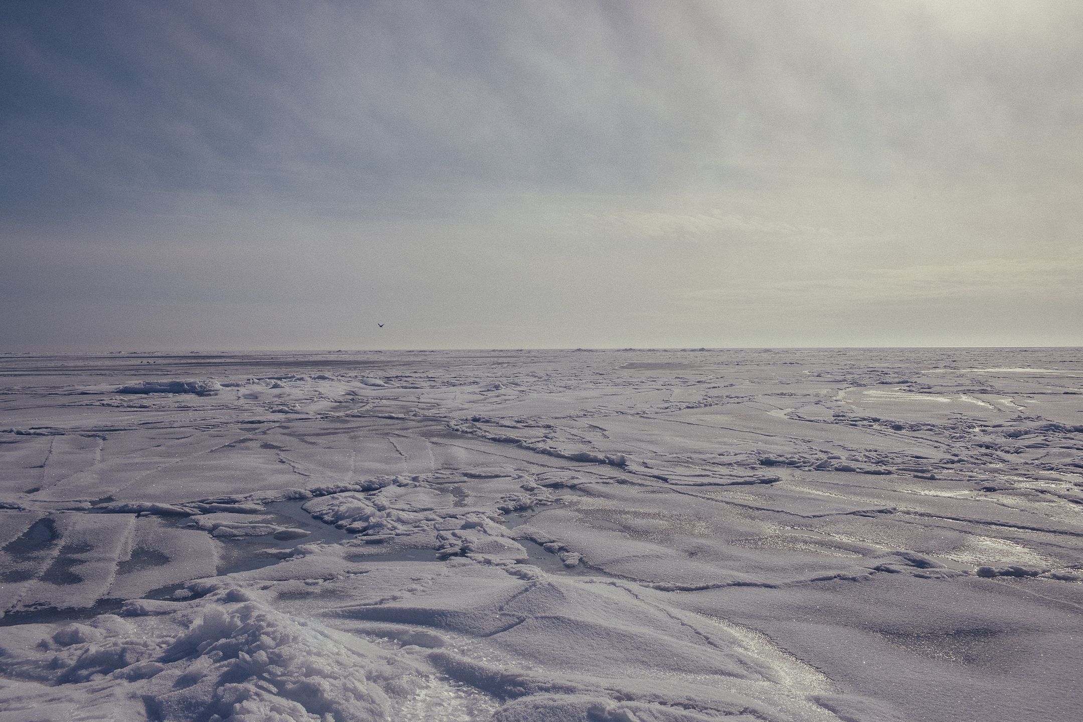 Wybrzeże Morza Azowskiego w okolicach Mariupola