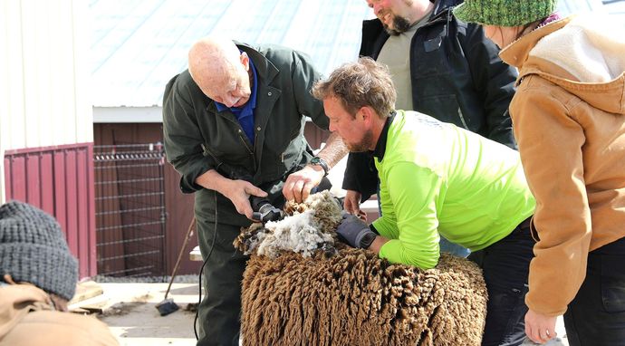 Rodzinny biznes doktora Pola