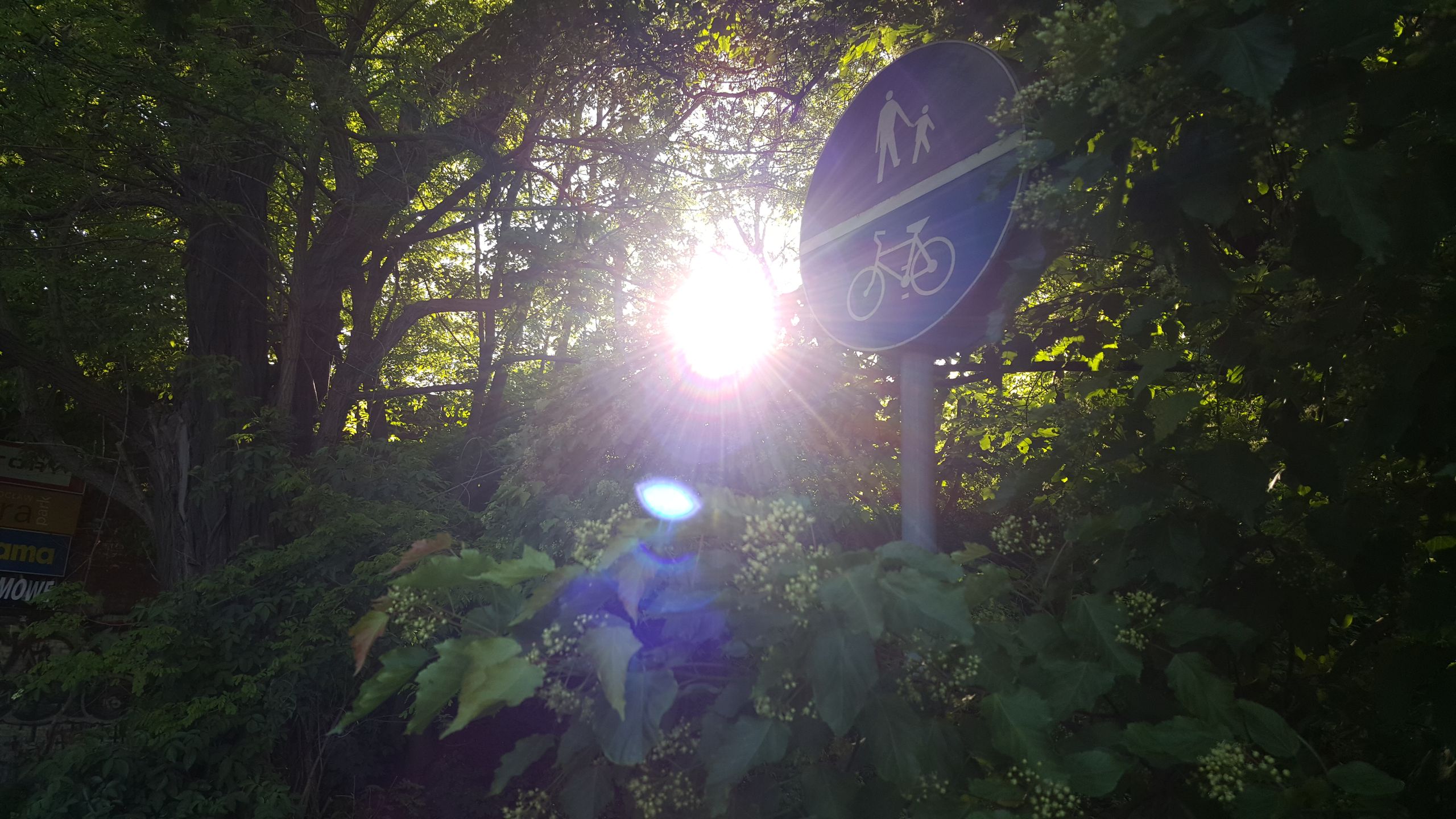 Samsung Galaxy S6 – test fotograficzny 34