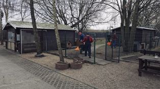 Nie tylko kara. W Szczecinku więźniowie pomagają zwierzętom