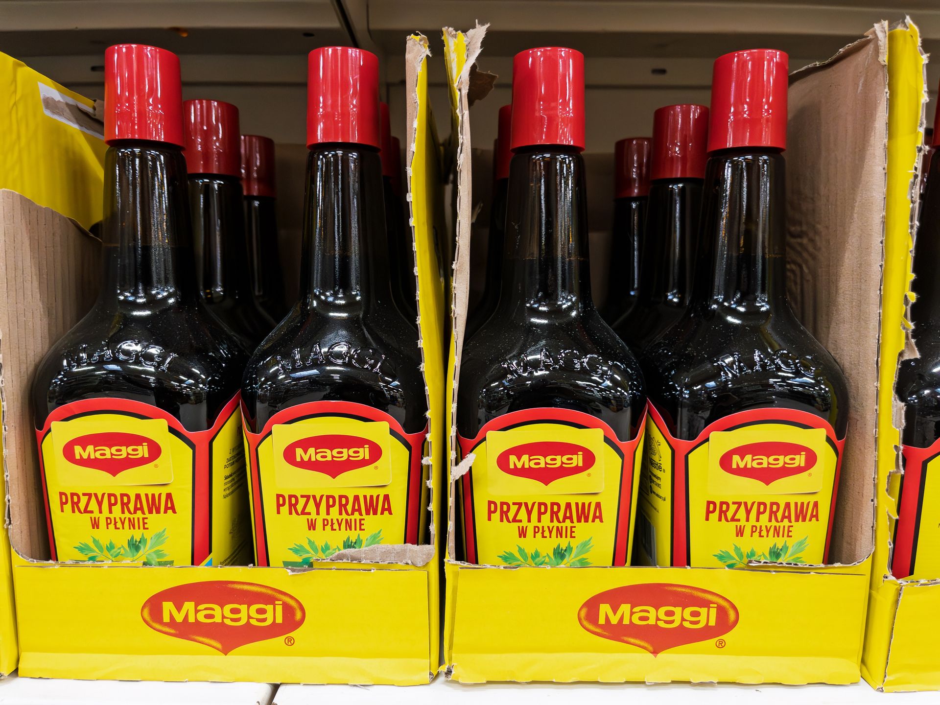 Maggi