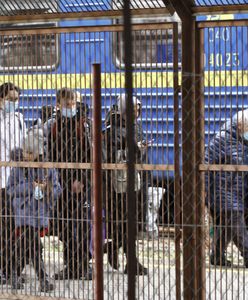 Wydarzenia w Przemyślu. Według wzorców rosyjskiej dezinformacji