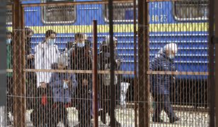 Wydarzenia w Przemyślu. Według wzorców rosyjskiej dezinformacji