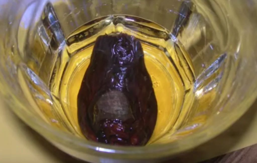W Kanadzie skradziono makabryczny dodatek do drinka – zmumifikowany palec