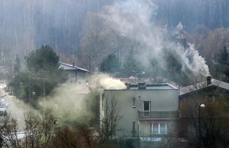 130 zł - tyle wynosi przeciętny mandat za palenie odpadami