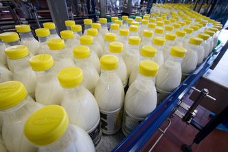 Polskie mleko zalewa zagranicę. Gigantyczny wzrost eksportu