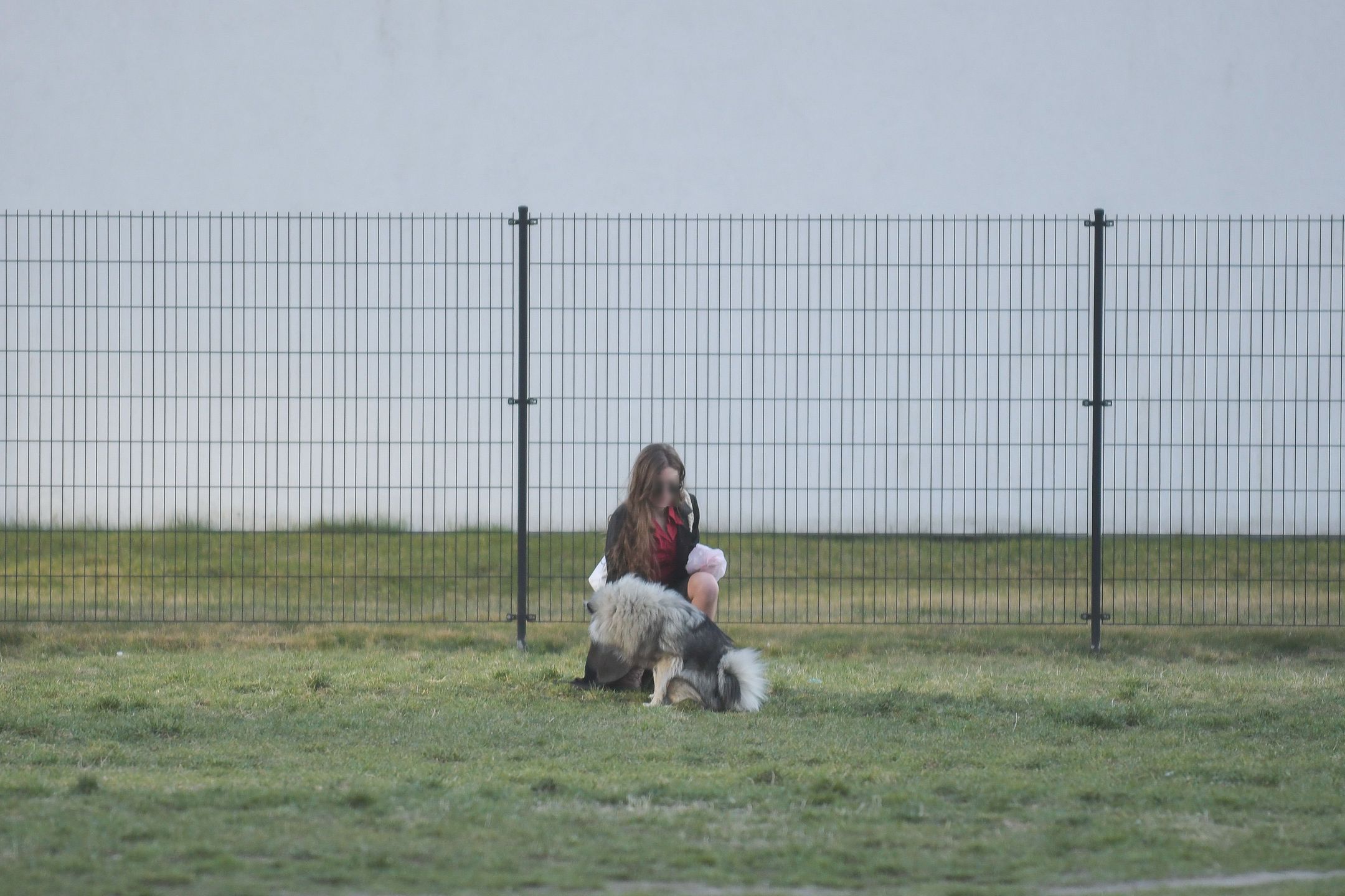 Kochanka Antka Królikowskiego wyprowadza psa na spacer