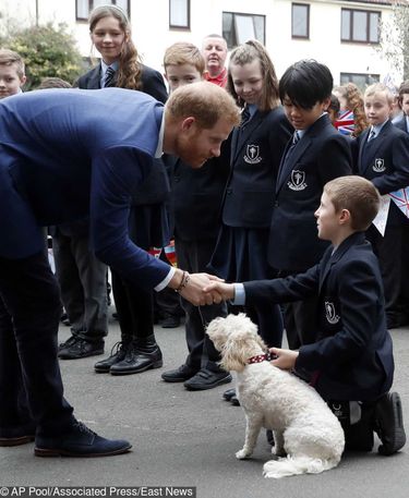 Britain's Prince Harry greets pupils from St Vincent's Catholic Primary School, along with the head teachers dog called Winnie, before going on to plant a tree from the Woodland Trust St Vincent's Catholic Primary School in Acton, in London, Wednesday, March 20, 2019. Prince Harry met the school's Eco Ambassadors, and then joined the children as they plant the saplings before planting his own tree, marking the achievements of the QCC and the Woodland Trust in providing 74,000 trees across the UK. (AP Photo/Alastair Grant, Pool)