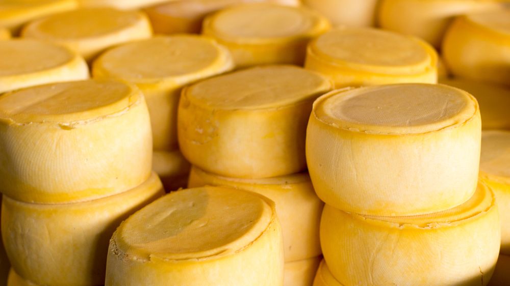 Ser Munster o niskiej zawartości tłuszczu