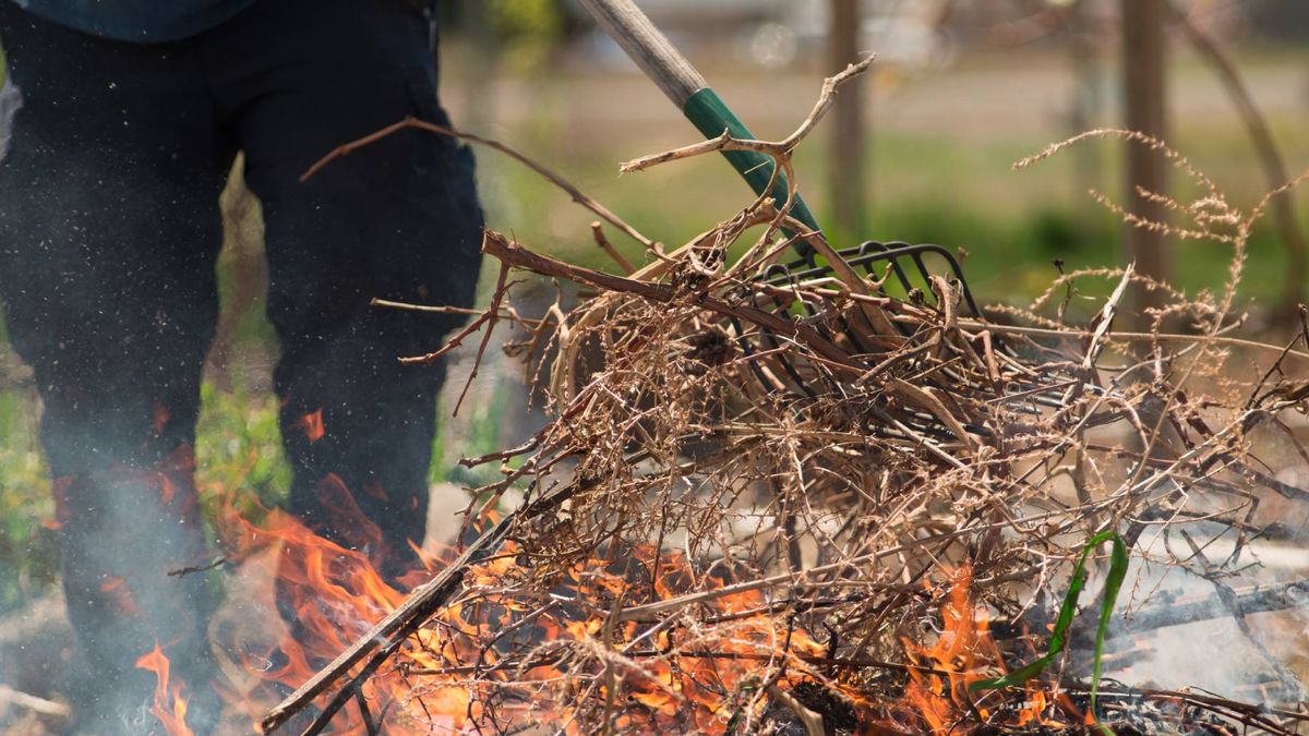 To grozi za wypalanie liści lub gałęzi na działce