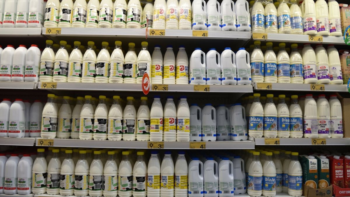Stock Bart?omiej Magierowski
Fot. Bartlomiej Magierowski/East News. Wroclaw 7.12.2022. Przedswiateczne zakupy w hipermarkecie Auchan we Wroclawiu. N/z: lodowka z mlekiem, wysokie ceny mleka.
Bartlomiej Magierowski