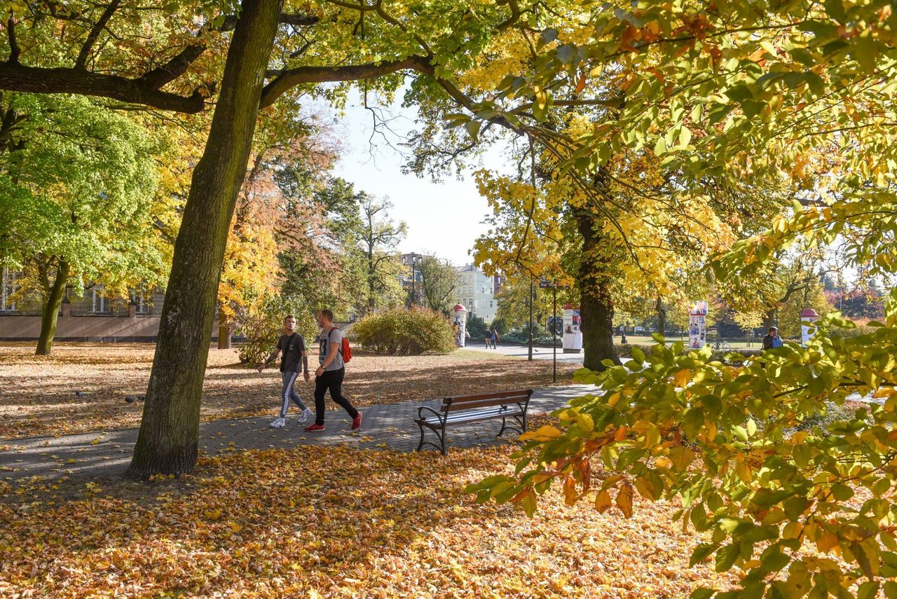 Toruń: Weekendowe jesienne atrakcje dla całych rodzin