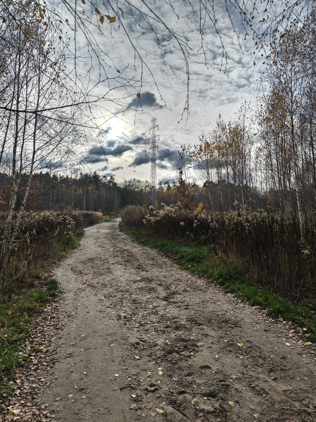Zdjęcia z głównego aparatu w orientacji pionowej.