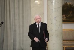 "Pustka i chłód". Senator kpi po występie Kaczyńskiego w TVP