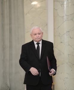 "Pustka i chłód". Senator kpi po występie Kaczyńskiego w TVP
