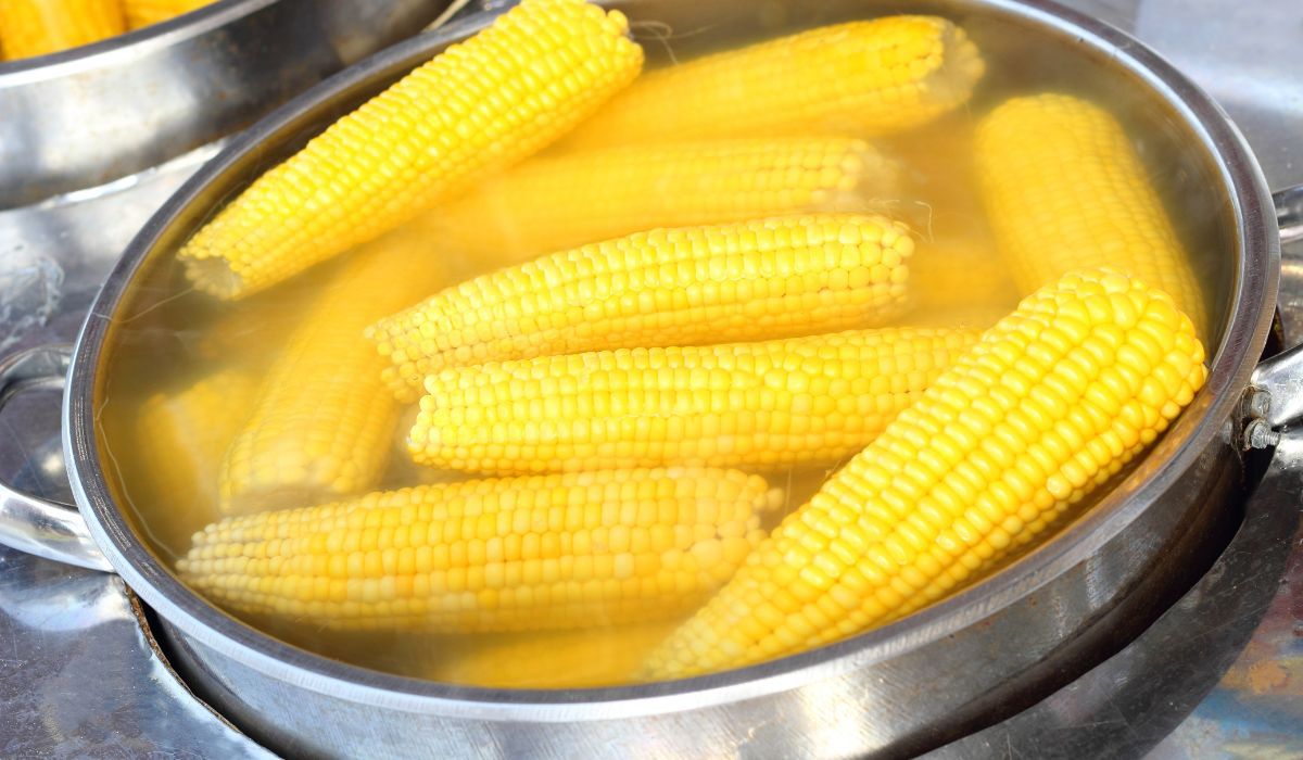 Gotowana kukurydza - Pyszności; Foto Canva.com