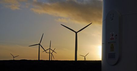 Zamach na branżę OZE i apele o kolejne weto prezydenta. Prezes URE: ta ustawa to przejaw rasizmu energetycznego