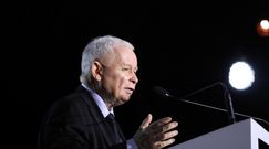 "To jest absurd!". Włodzimierz Czarzasty o oświadczeniu Kaczyńskiego