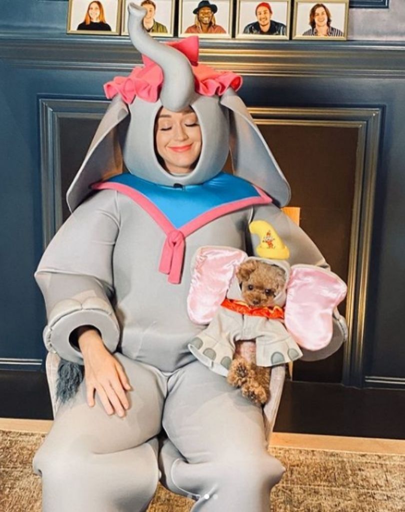 Pies Katy Perry przeszedł na weganizm? 