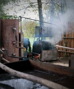 Leśna fabryka bimbru zlikwidowana. Produkowała 3 tys. litrów tygodniowo