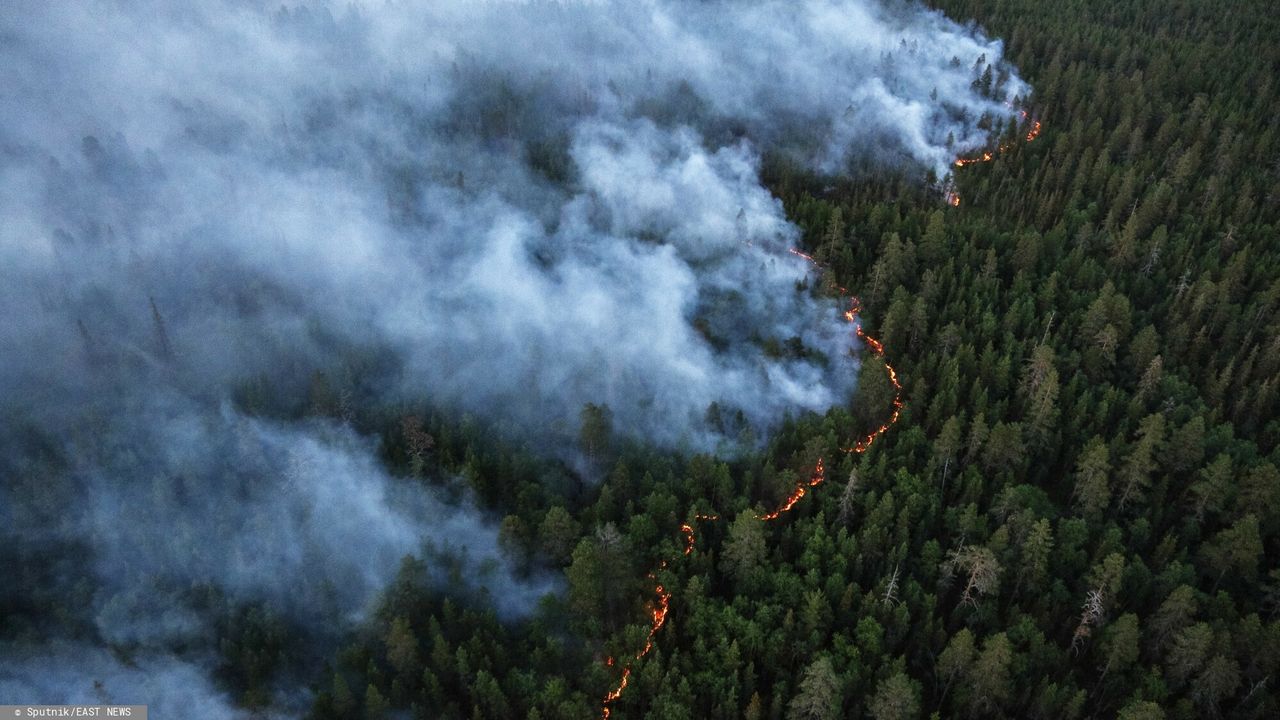 Niezwykle rzadkie zjawisko. Pomimo mrozu zapaliła się trawa w tundrze