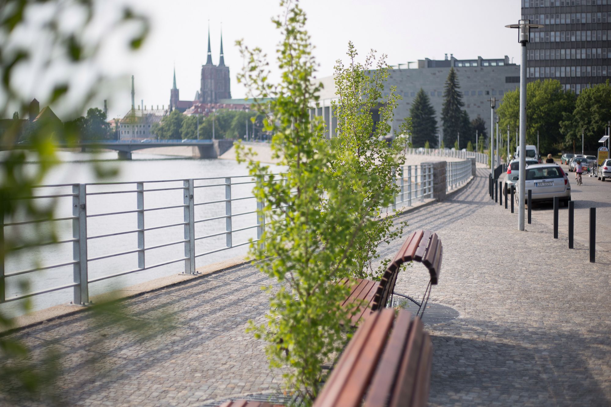 Canon 50 mm f/1.8 STM - zdjęcia przykładowe 7